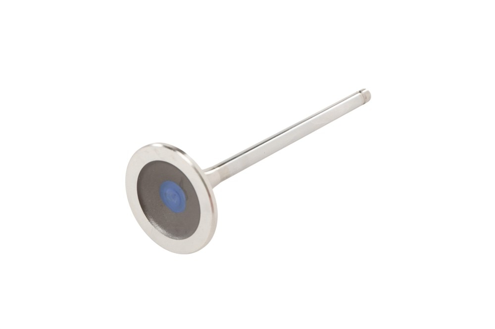 GM Genuine Parts Exhaust Valve