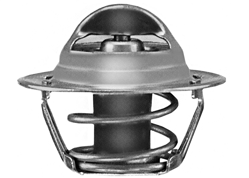 GM Genuine Parts Engine Coolant Thermostat