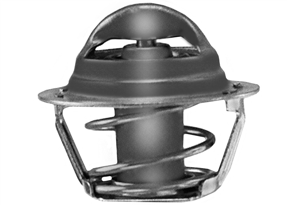GM Genuine Parts Engine Coolant Thermostat