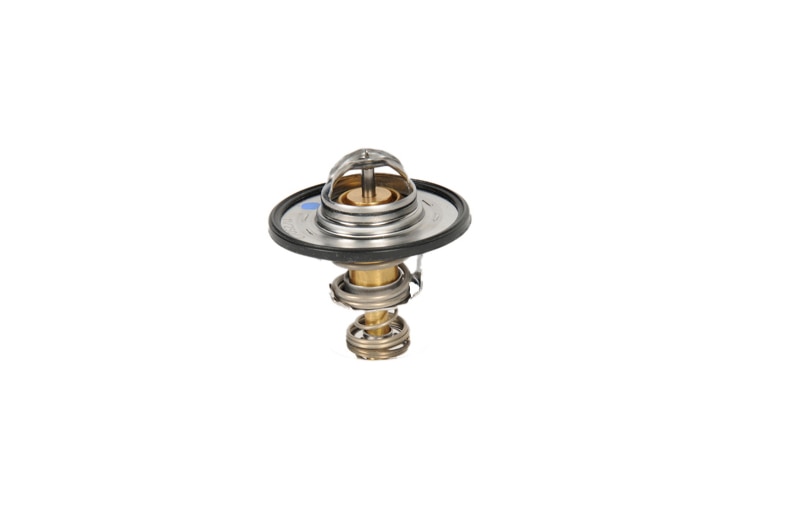 GM Genuine Parts Engine Coolant Thermostat with Seal