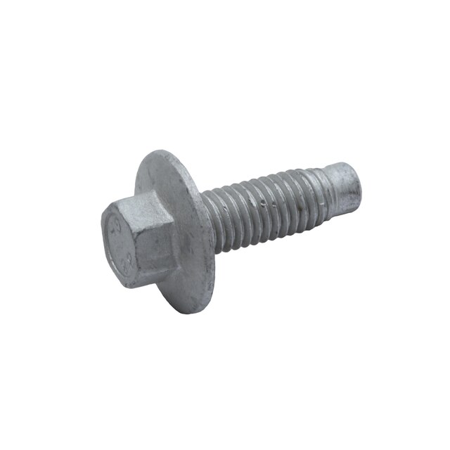 GM Genuine Parts Door Hinge Bolt