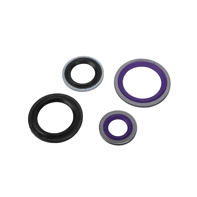 GM Genuine Parts Air Conditioning Thermal Expansion Valve Seal Kit with Tube Seals and Valve Seals