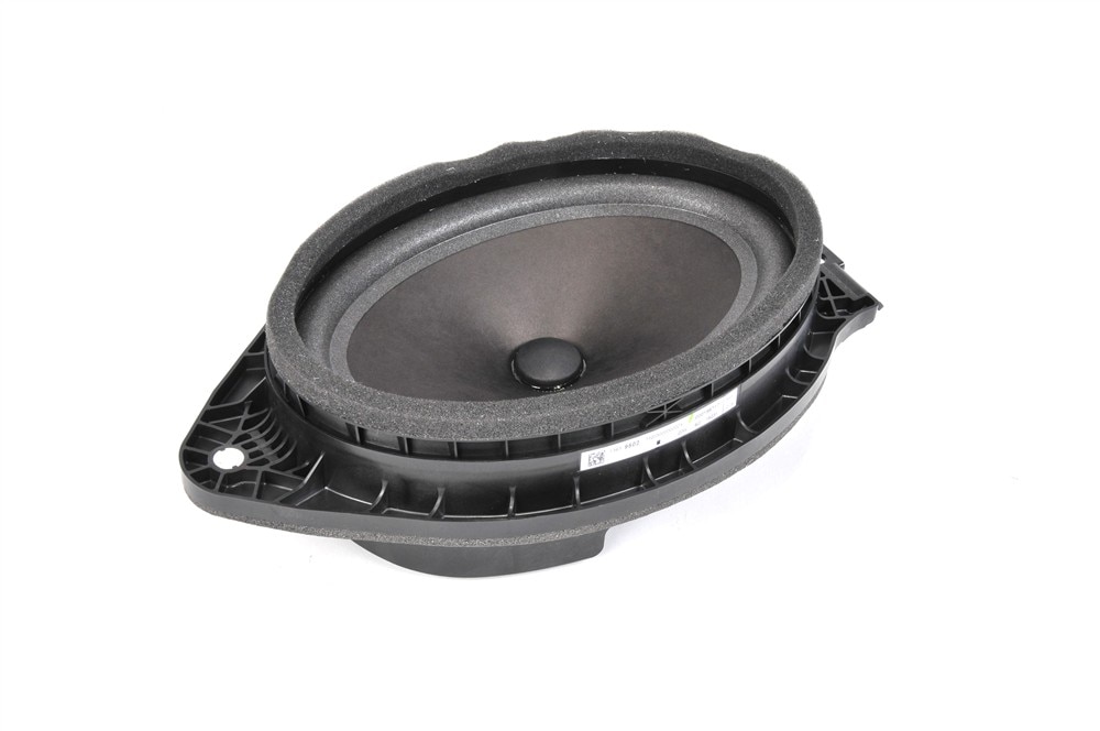 GM Genuine Parts Front Door Radio Speaker