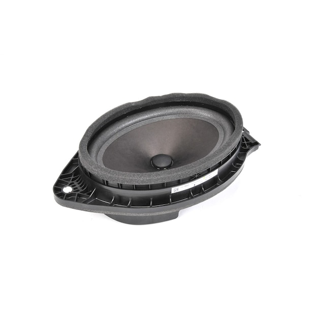 GM Genuine Parts Front Door Radio Speaker