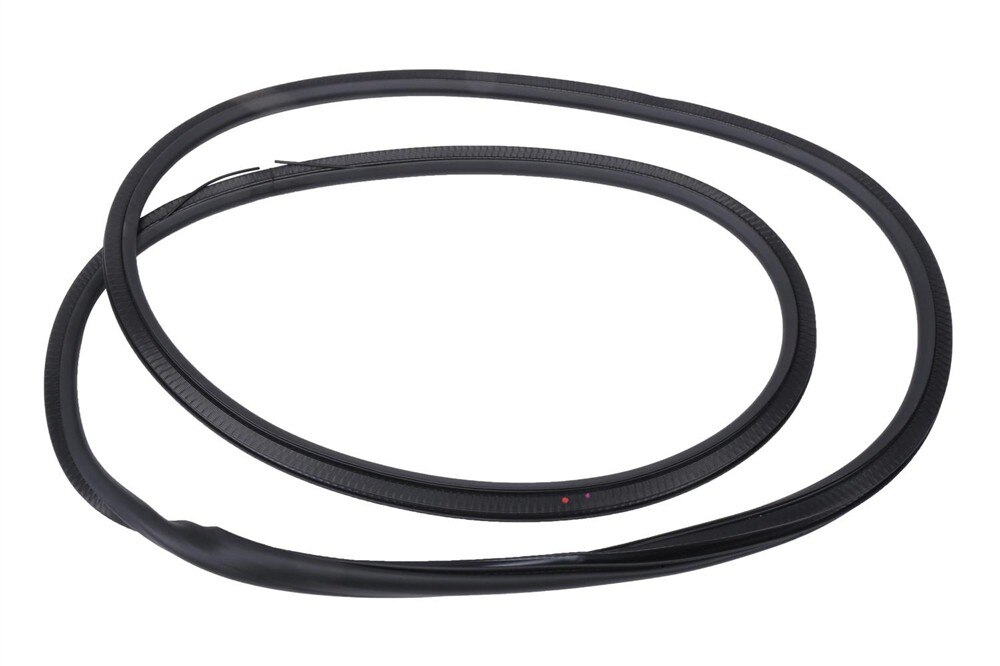 GM Genuine Parts Rear Side Door Weatherstrip