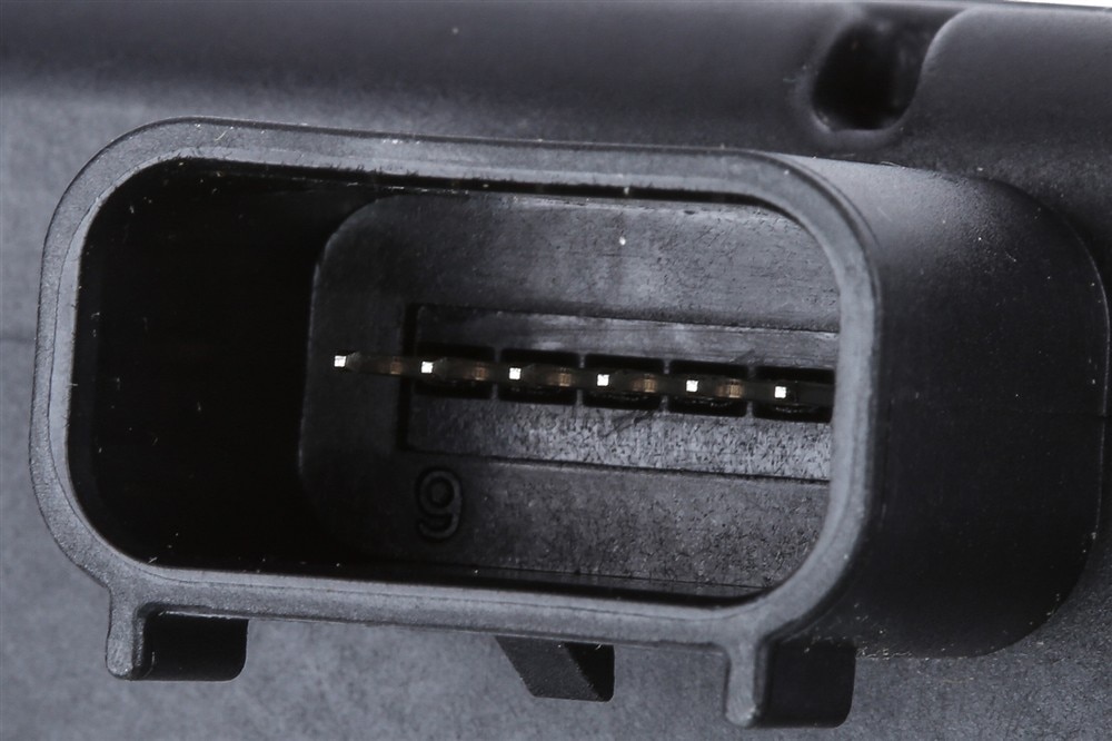 Alternate Image