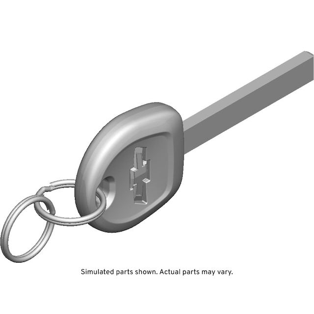GM Genuine Parts Door Lock and Ignition Key