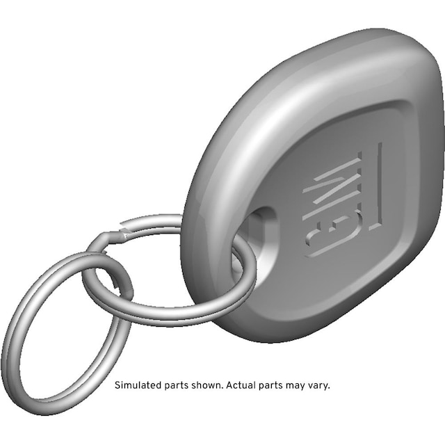GM Genuine Parts Door Lock and Ignition Key