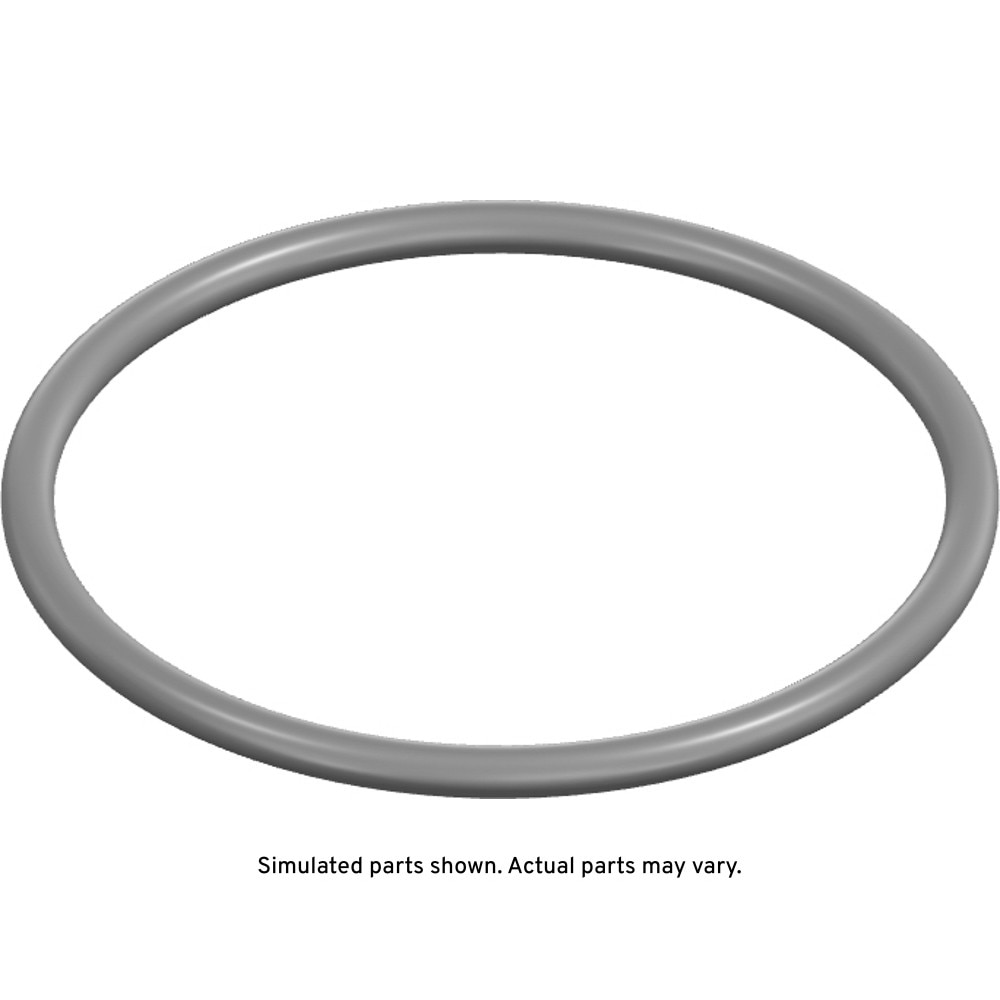 GM Genuine Parts Fuel Sender Seal