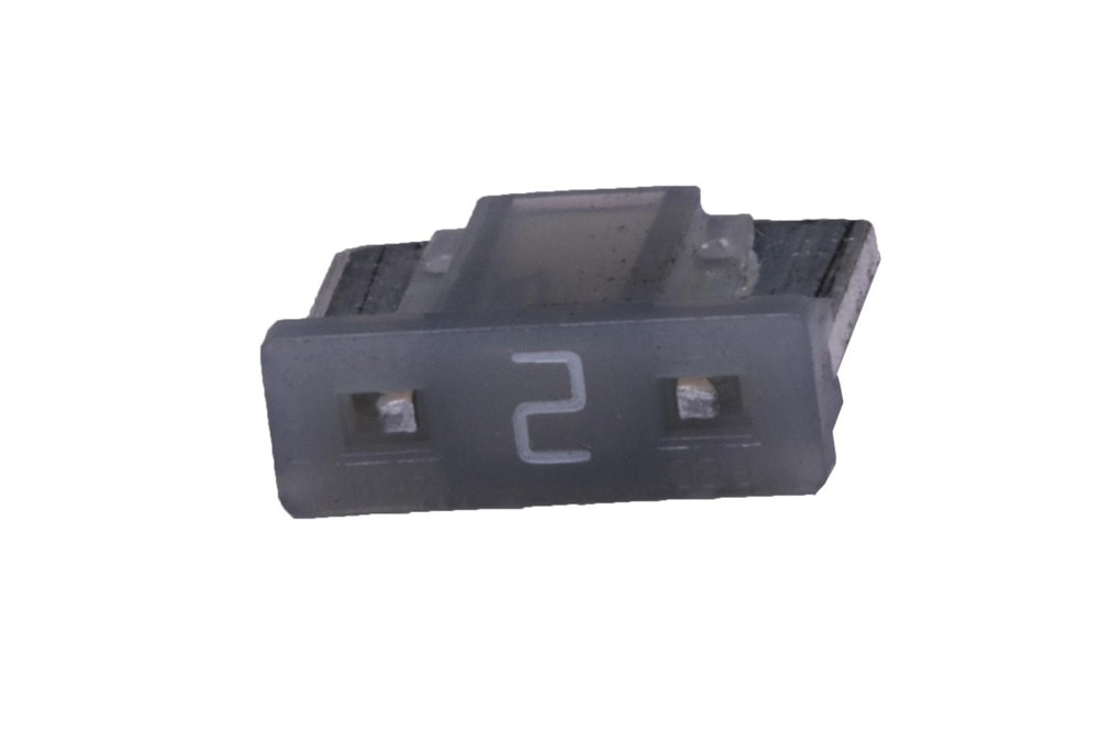 GM Genuine Parts 2 Amp Fuse