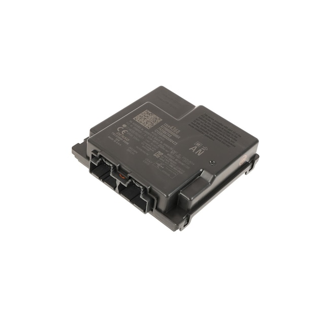 GM Genuine Parts Keyless Entry Control Module (Programming Required)