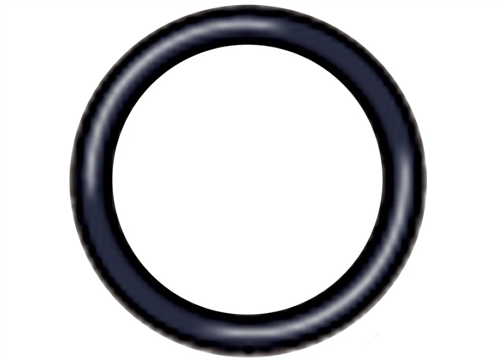 GM Genuine Parts Air Conditioning Expansion Valve O-Ring