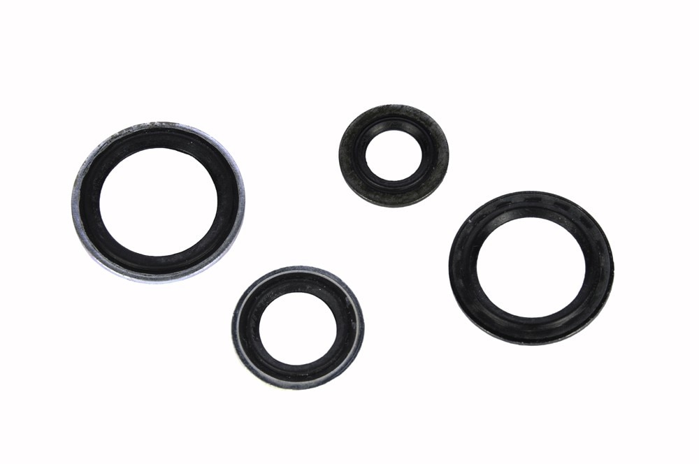 GM Genuine Parts Air Conditioning Thermal Expansion Valve Seal Kit with Tube Seals and Valve Seals