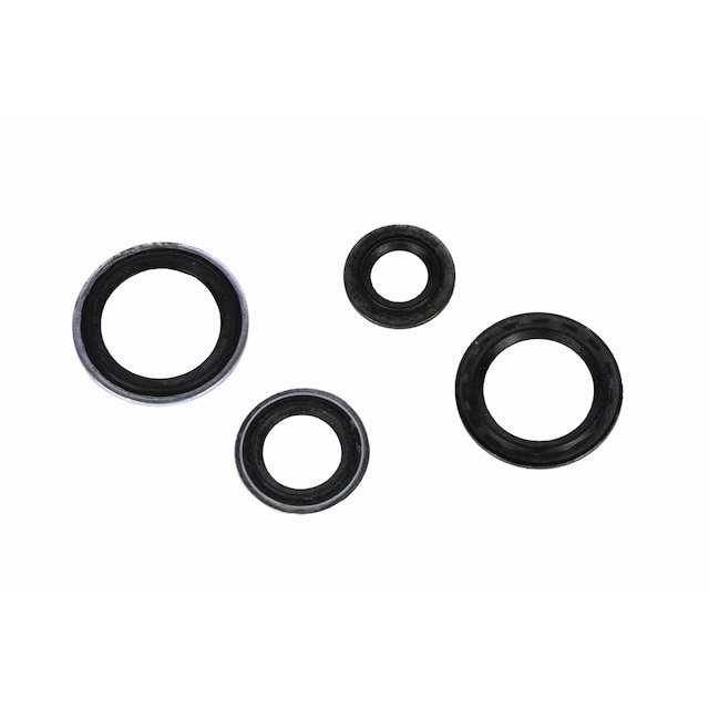 GM Genuine Parts Air Conditioning Thermal Expansion Valve Seal Kit with Tube Seals and Valve Seals