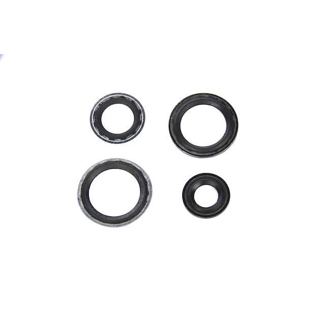 GM Genuine Parts Air Conditioning Thermal Expansion Valve Seal Kit with Tube Seals and Valve Seals