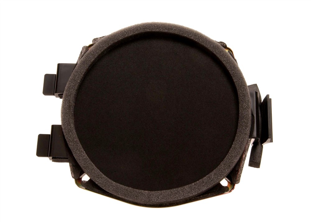 GM Genuine Parts Front Door Radio Speaker