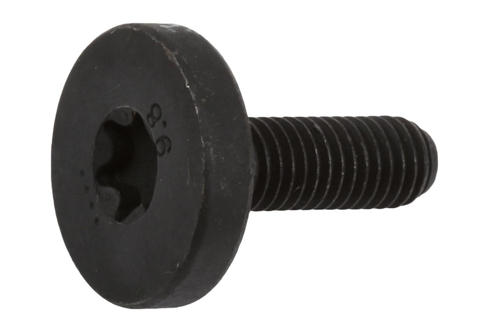 GM Genuine Parts Door Hinge Bolt