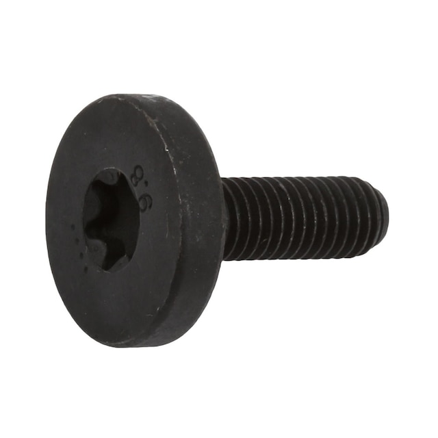 GM Genuine Parts Door Hinge Bolt