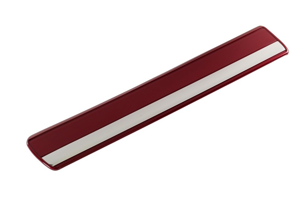 GM Genuine Parts Door Molding