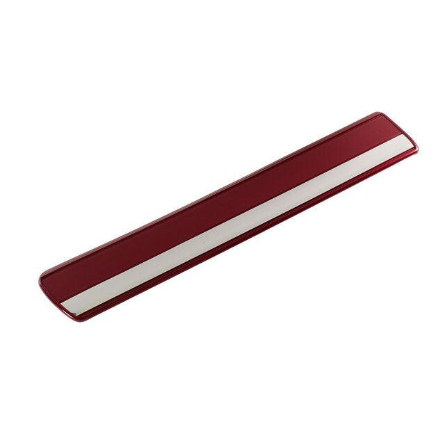 GM Genuine Parts Door Molding