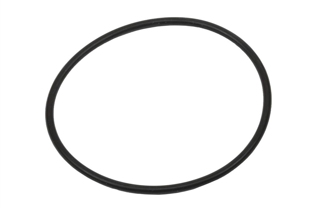 GM Genuine Parts Parking Brake Pump Seal