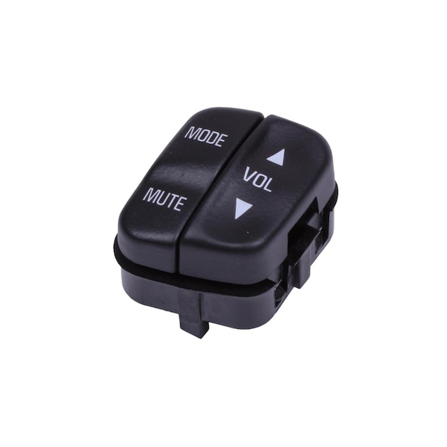 GM Genuine Parts Black Radio Control Switch