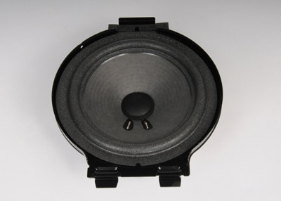 GM Genuine Parts Front Door Radio Speaker