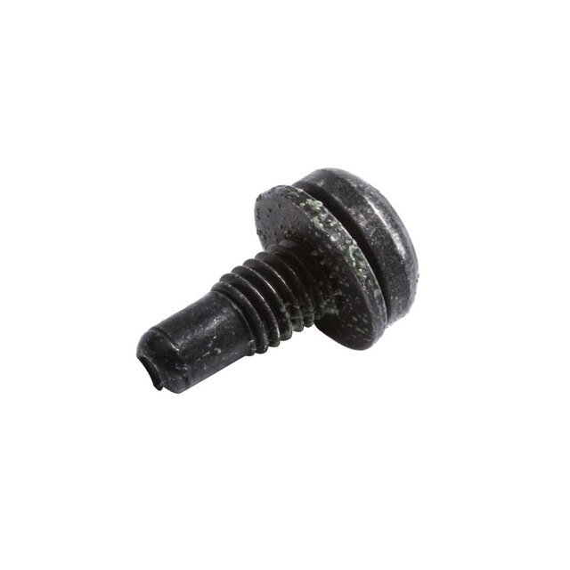 GM Genuine Parts Roof Vent Sunshade Track Bolt