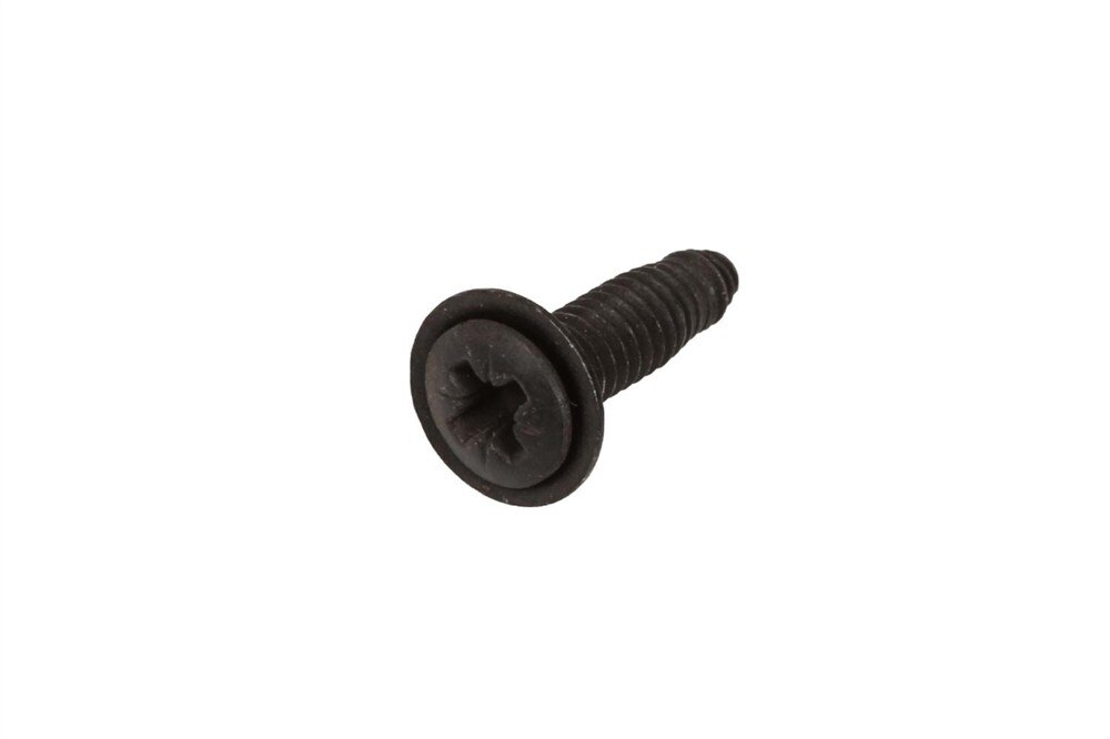 GM Genuine Parts Rear Door Upper Molding Bolt