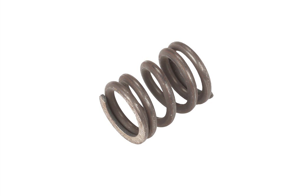 GM Genuine Parts Rear Side Door Hinge Spring