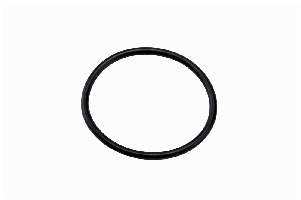 GM Genuine Parts Rear Wheel Drive Module Differential Clutch Input Shaft Seal