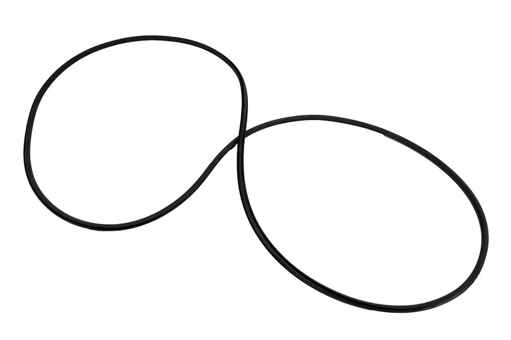 GM Genuine Parts Sunroof Window Seal