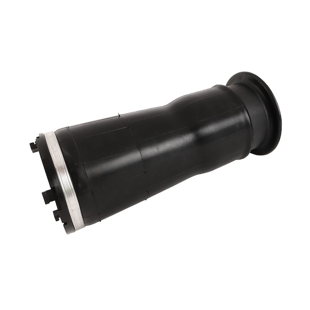 GM Genuine Parts Rear Air Spring