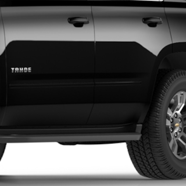 Front and Rear Door Moldings in Black