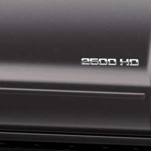 Crew Cab Smooth Door Moldings in Tungsten Metallic