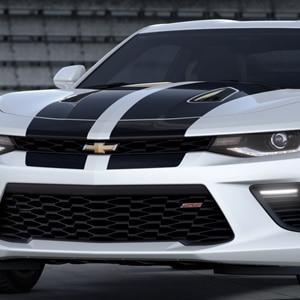 Rally Stripe Package in Black Metallic