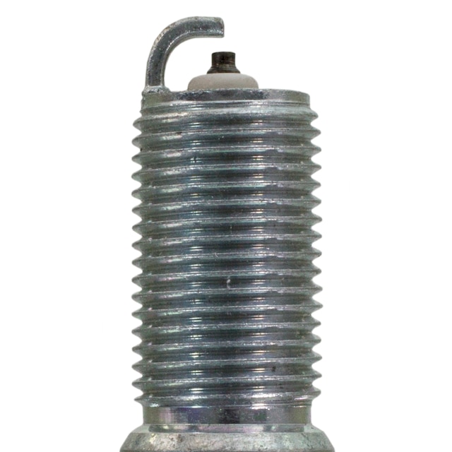 Alternate Image