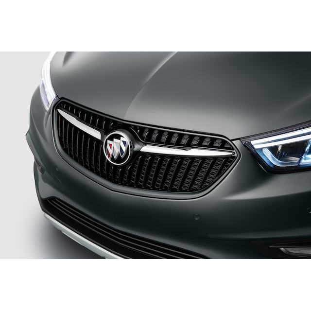 Grille in Son of A Gun Gray with Chrome Surround