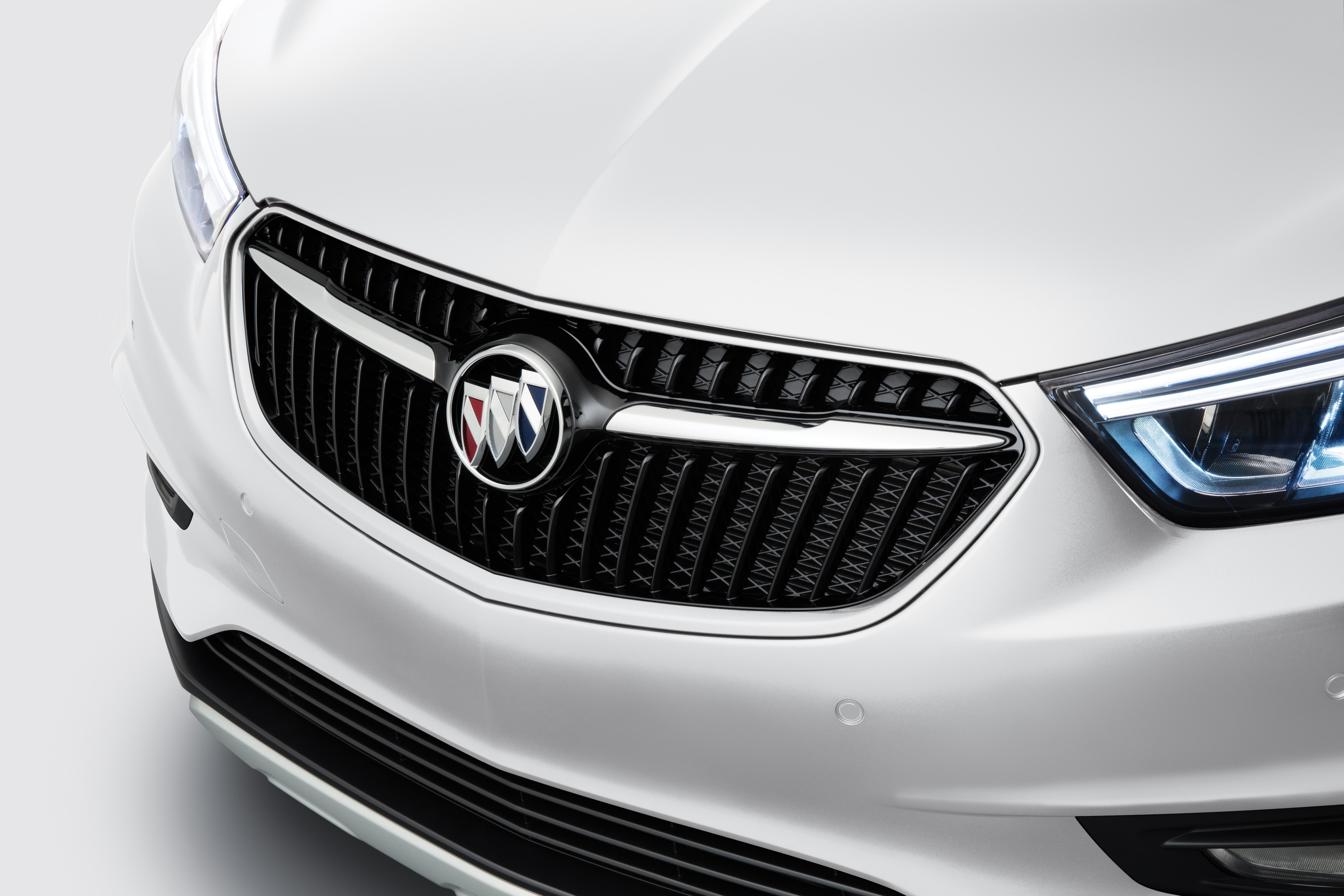 Grille in Ebony Twilight Metallic