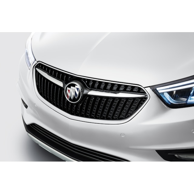 Grille in Ebony Twilight Metallic