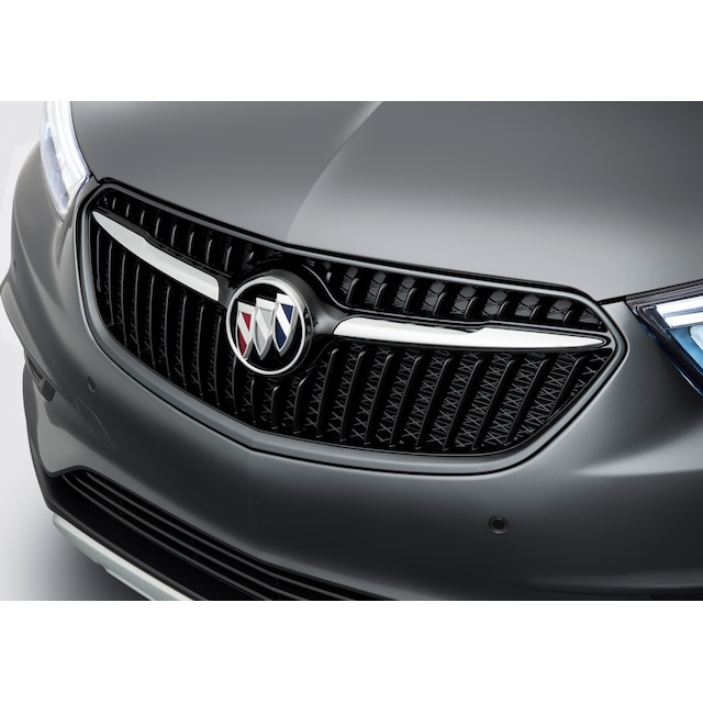 Grille in Black with Primer Surround