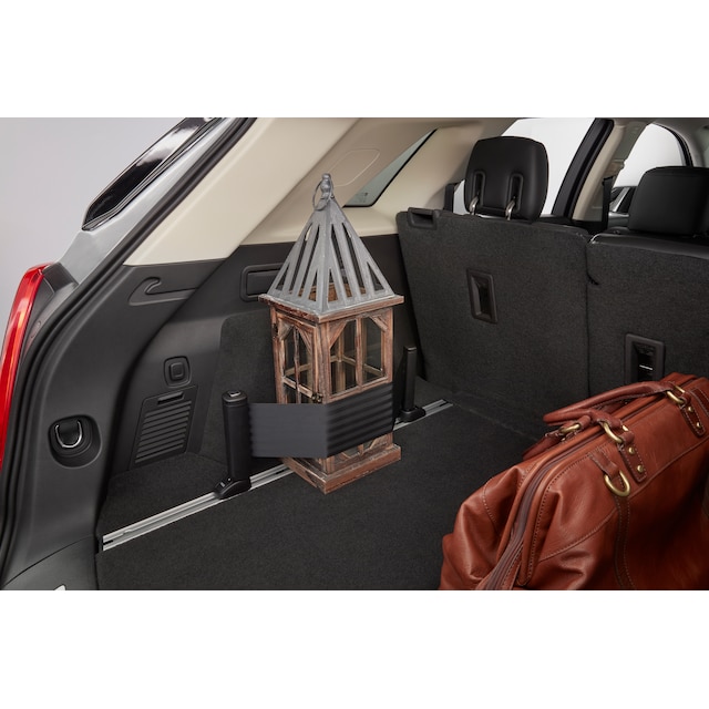 On-Vehicle Image