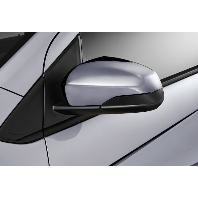 Outside Rearview Mirror Covers in Silver Ice
