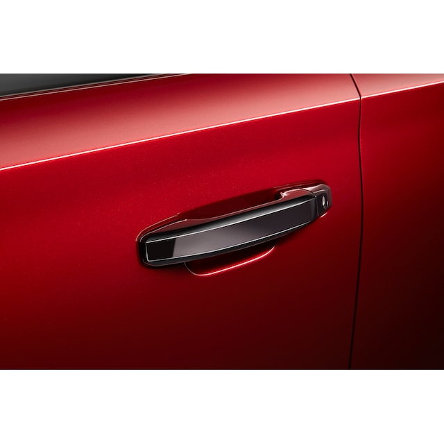 Front and Rear Door Handles in Black