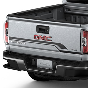 Hood and Tailgate Stripe Package in Black