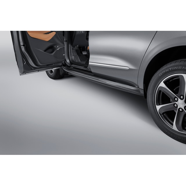 Molded Assist Steps in Pitch Dark Night