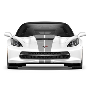 Dual Racing Stripe Package in Blade Silver