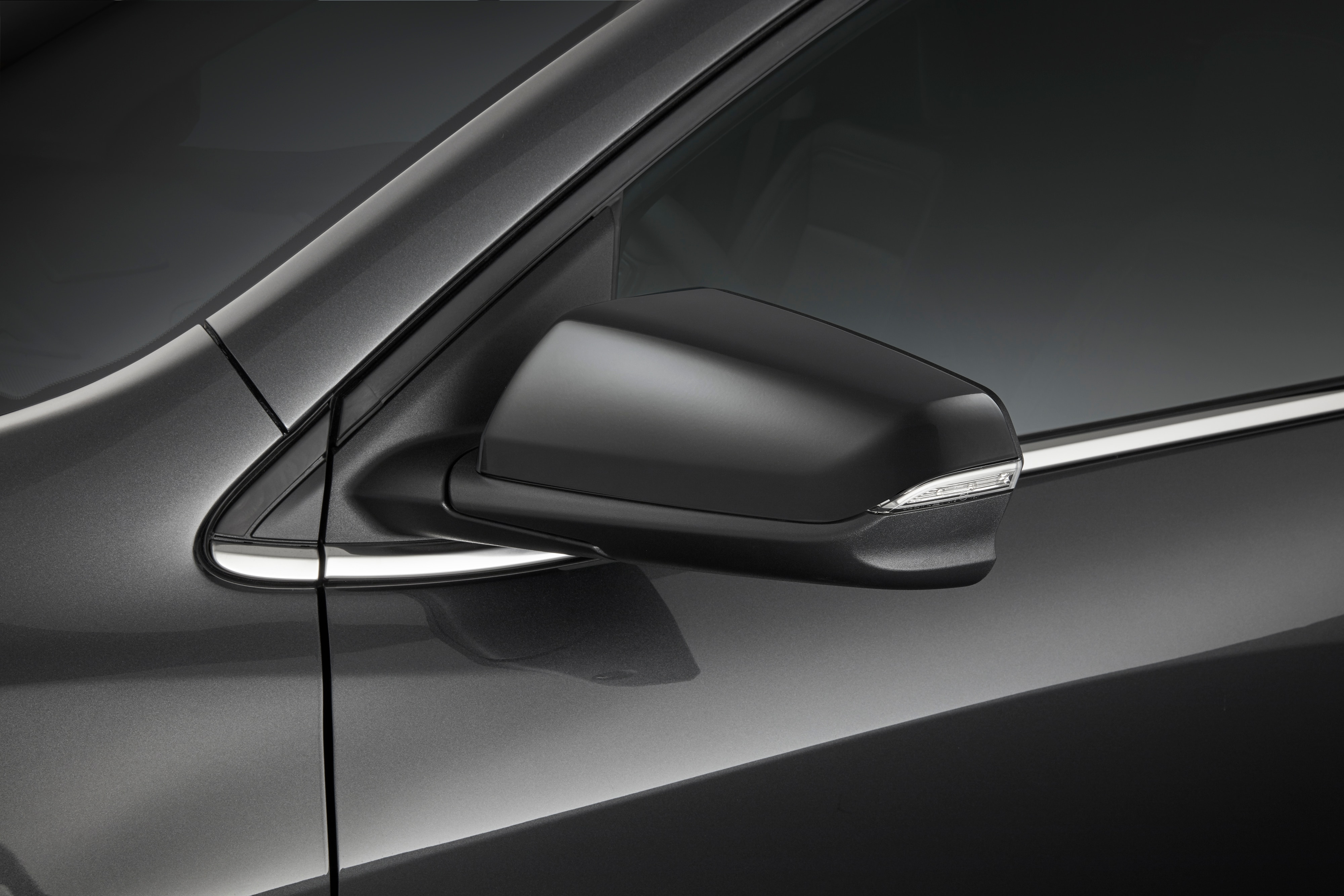 Outside Rearview Mirror Covers in Black