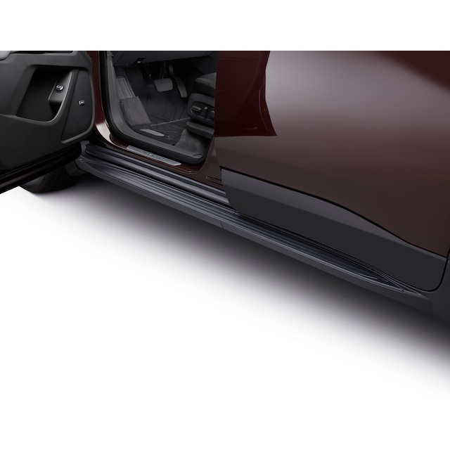 Molded Assist Steps in Black