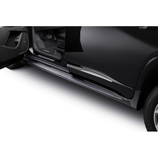 Molded Assist Steps in Mosaic Black Metallic